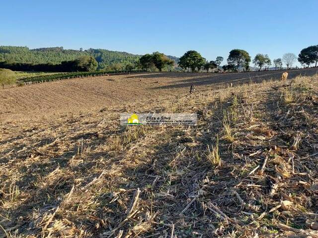 Venda em Córrego do Souza - Nova Resende