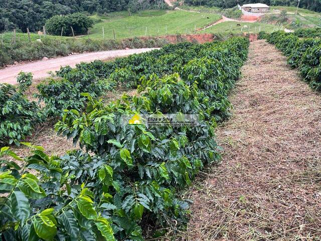 Venda em Chácara - Nova Resende