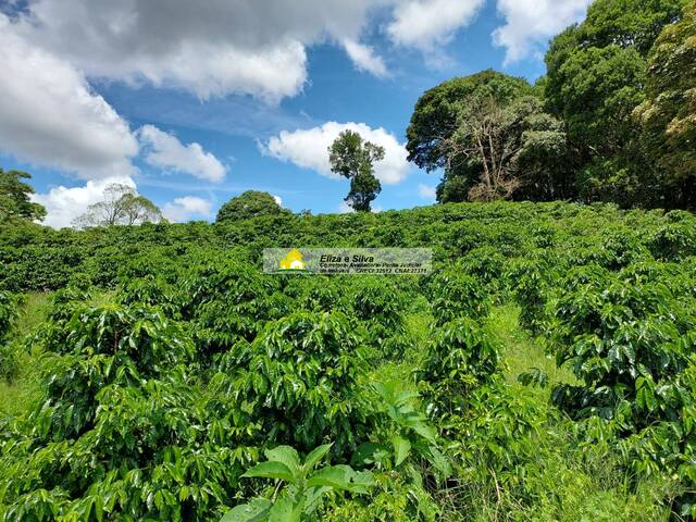 Venda em Lagoa - Nova Resende