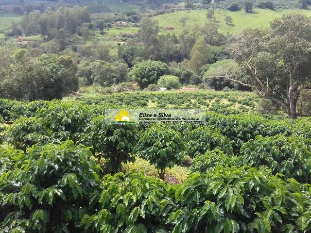 Venda em Sampaio - Nova Resende